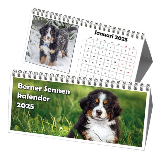 Berner Sennen Driehoek Bureau Kalender 2023