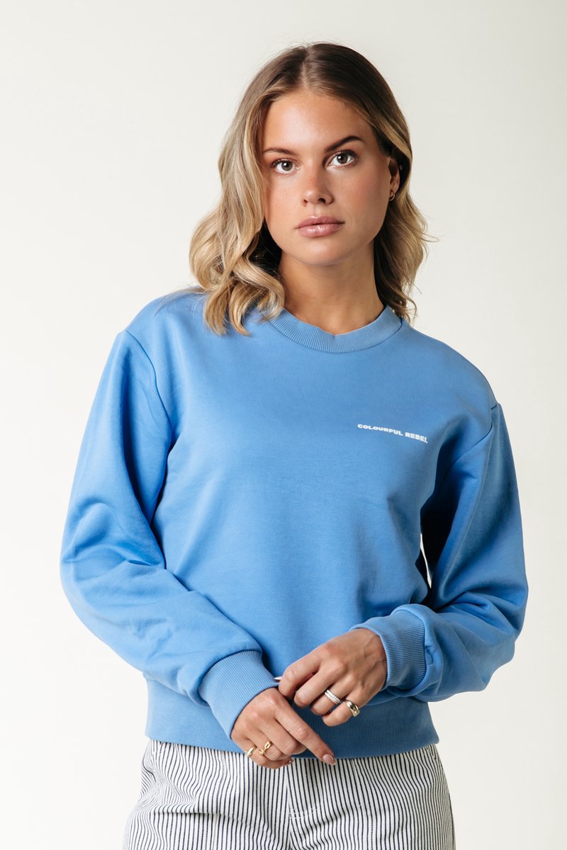 Colourful Rebel Logo Circle Relaxed Sweat- XXL bol