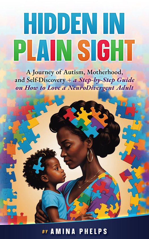 Hidden in Plain Sight - cover