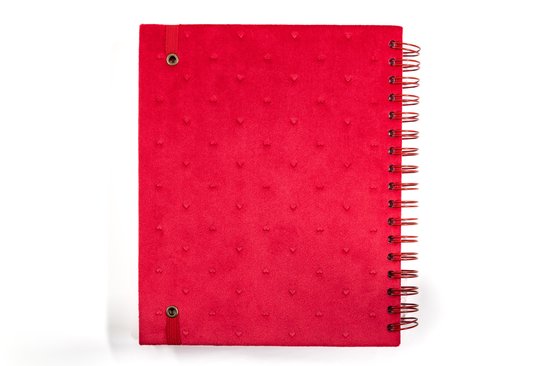 Mascha planner - Pop of Red