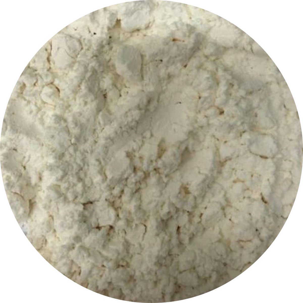 Goedkoopste Van Beekum Specerijen - Kaas Aroma - 25 KG - Doos (bulk verpakking