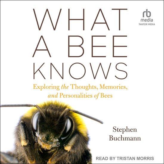 What a Bee Knows - cover