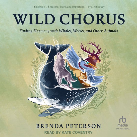 Wild Chorus - cover