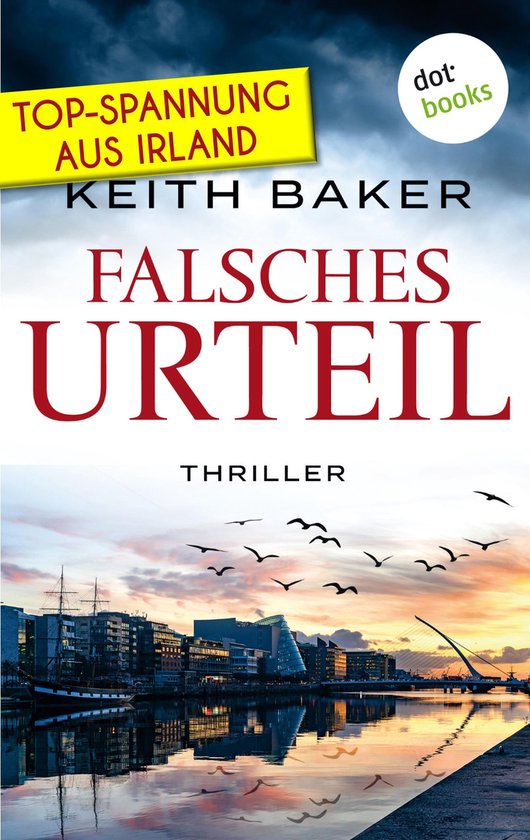 Falsches Urteil: Top-Spannung aus Irland – Ein Politthrill ... - cover
