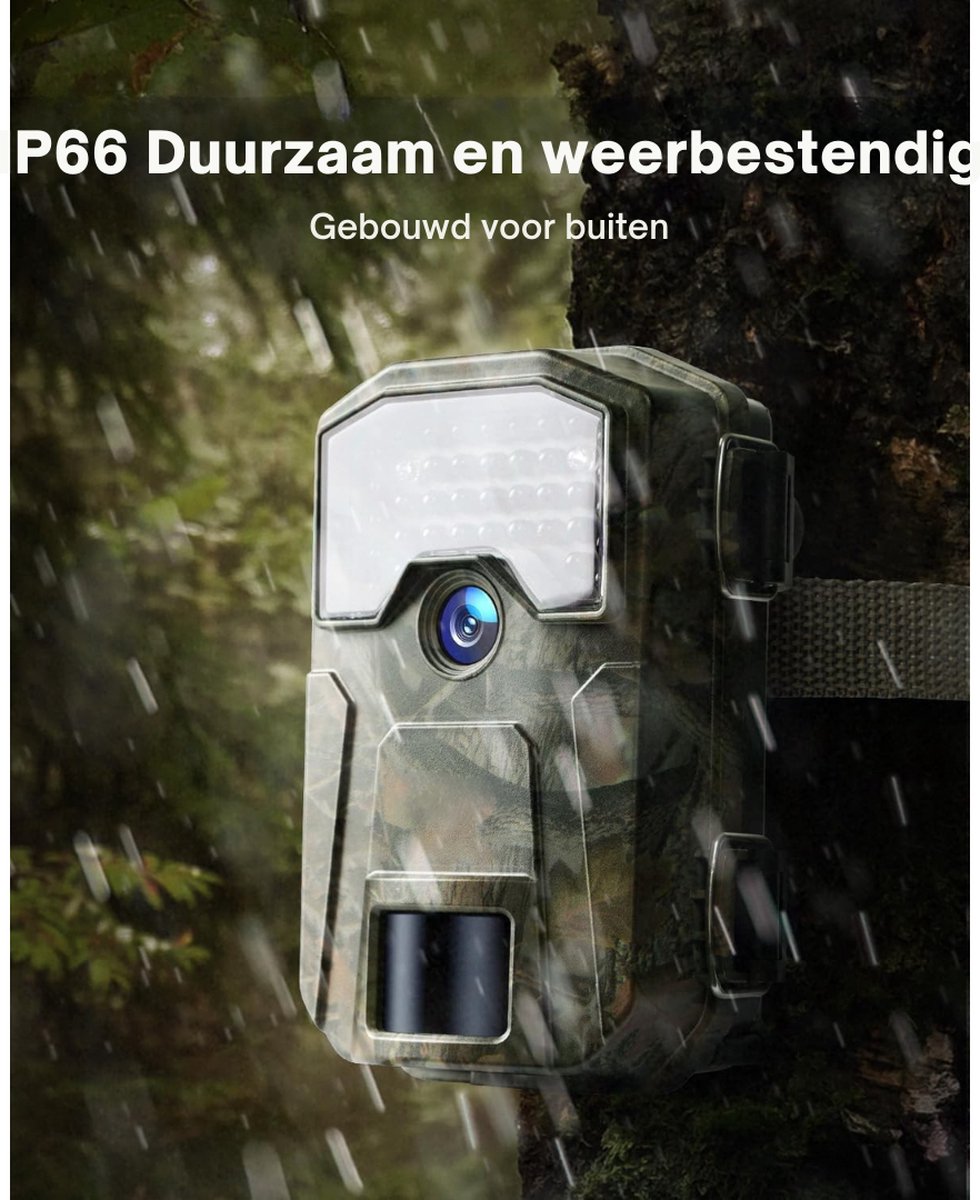 1293832_5