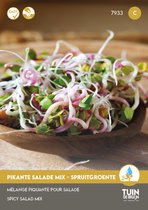 Tuin de Bruijn® - Pikante salade mix Spruitgroente - kiemgroente - sprouting