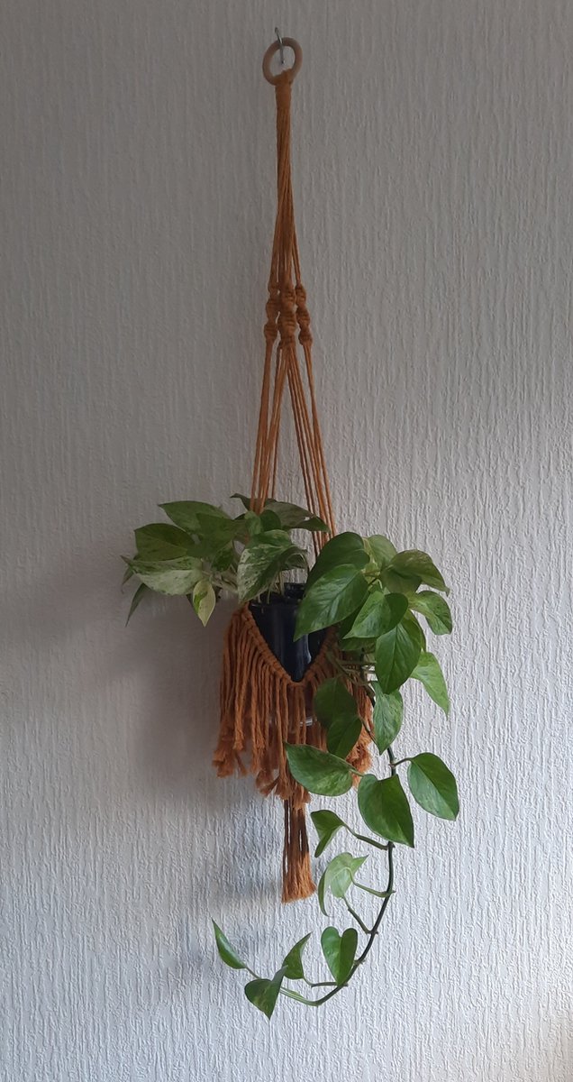 Cafuné - Plantenhanger - Macramé - Oker- Handgemaakt - Gerecycled katoen - Boho Vibe - Home Decoration - Cadeau Idee