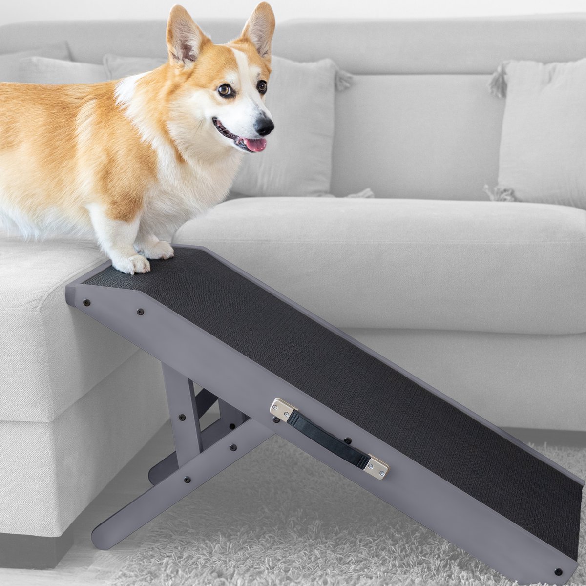 Priorpet