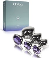 Metalen Buttplugs voor mannen en vrouwen - Buttplug Set 3-Delig - Anal & Butt Plug - Lila