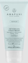 Paul Mitchell Awapuhi Wild Ginger Repair Intensive Treatment 75 Ml