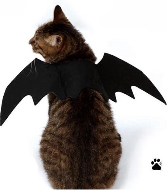 Kattenmasker