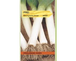 Prei Blauwgroene Winter