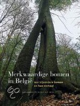 Merkwaardige bomen in België