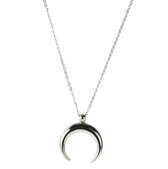 Beautiful buffalo necklace 2.0
