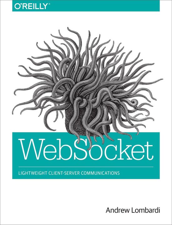 WebSocket - cover