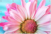 Roze Bloem | Close-up | Natuur | Tuindoek | Tuindecoratie | 90CM x 60CM | Tuinposter