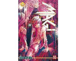 Magi - The Labyrinth of Magic 14