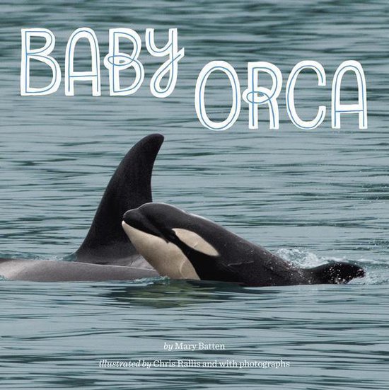 Baby Orca - cover