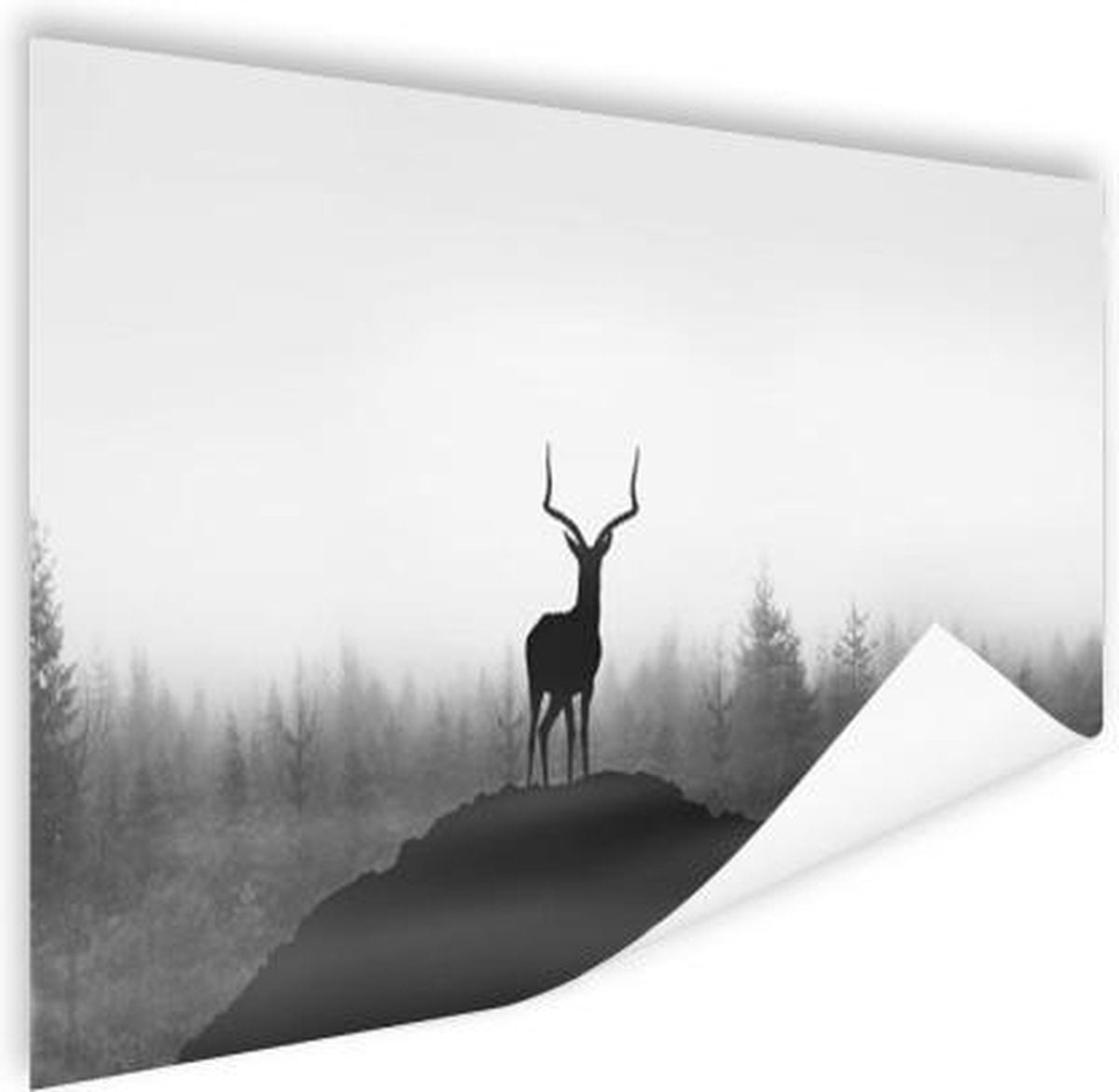 Poster Hert - Schaduw - Natuur - 90x60 cm