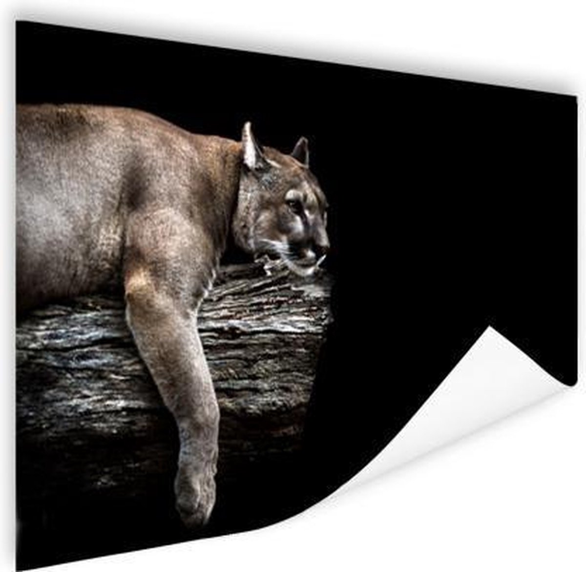 Poster Landschap poema - 40x30 cm