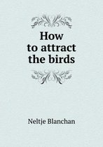 How to attract the birds