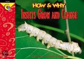 How and Why Insects Grow and Change