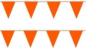 Vlaggenlijn Oranje - Koningsdag - EK Voetbal - Formule 1
