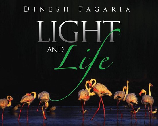 Light and Life - cover
