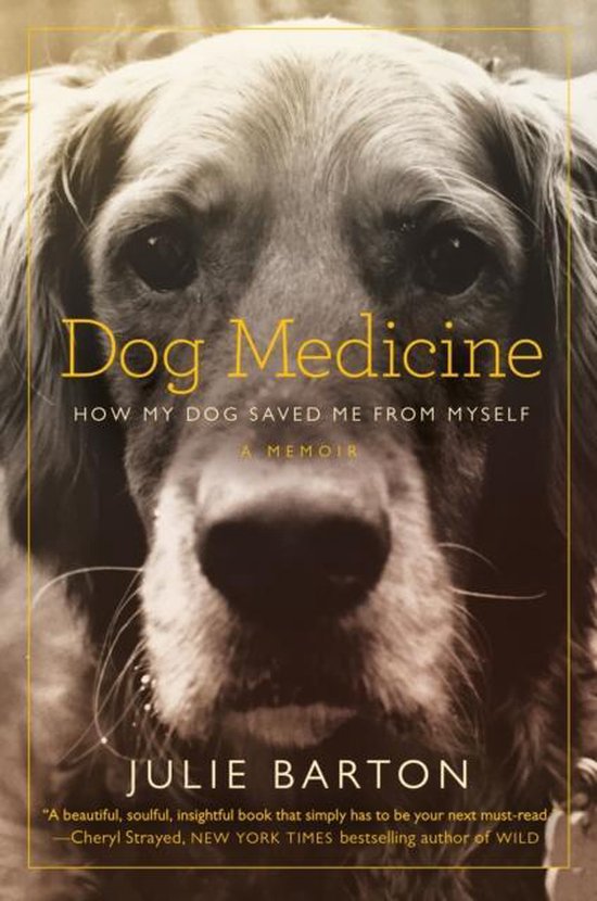 Dog Medicine - cover