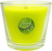 Citrobella® XL citronella kaars in glas met stil houtlont 700 g in geschenk doos