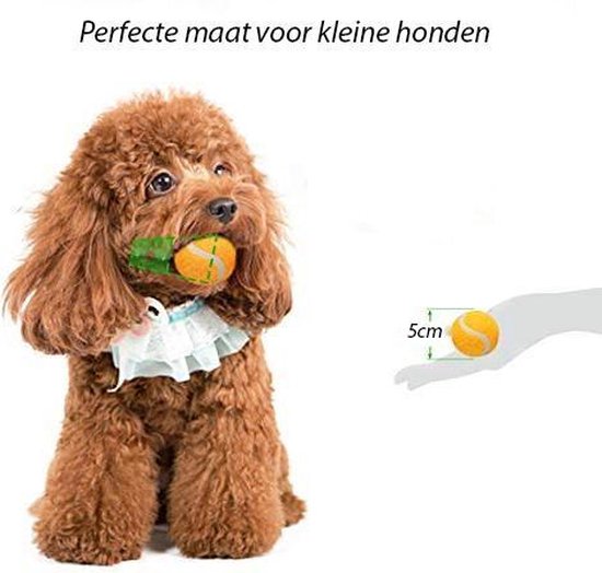 De ifetch automatische ballenwerper voor en