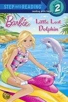 Little Lost Dolphin