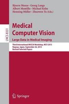 Medical Computer Vision Large Data in Medical Imaging