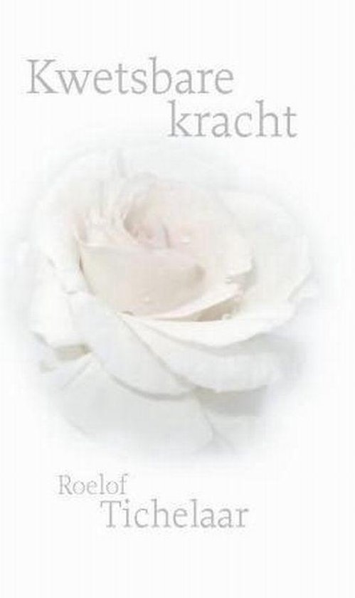 Cover van het boek 'Kwetsbare kracht'