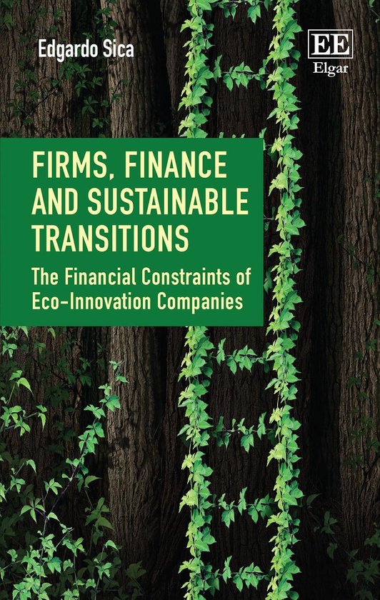 Firms, Finance and Sustainable Transitions - cover