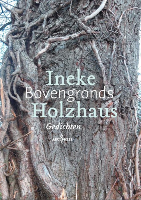 Cover van het boek 'Bovengronds'