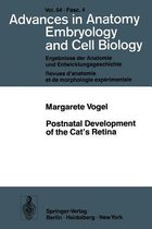 Postnatal Development of the Cat's Retina