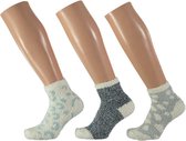 Apollo Multipack Ladies Home Chaussettes 31-34