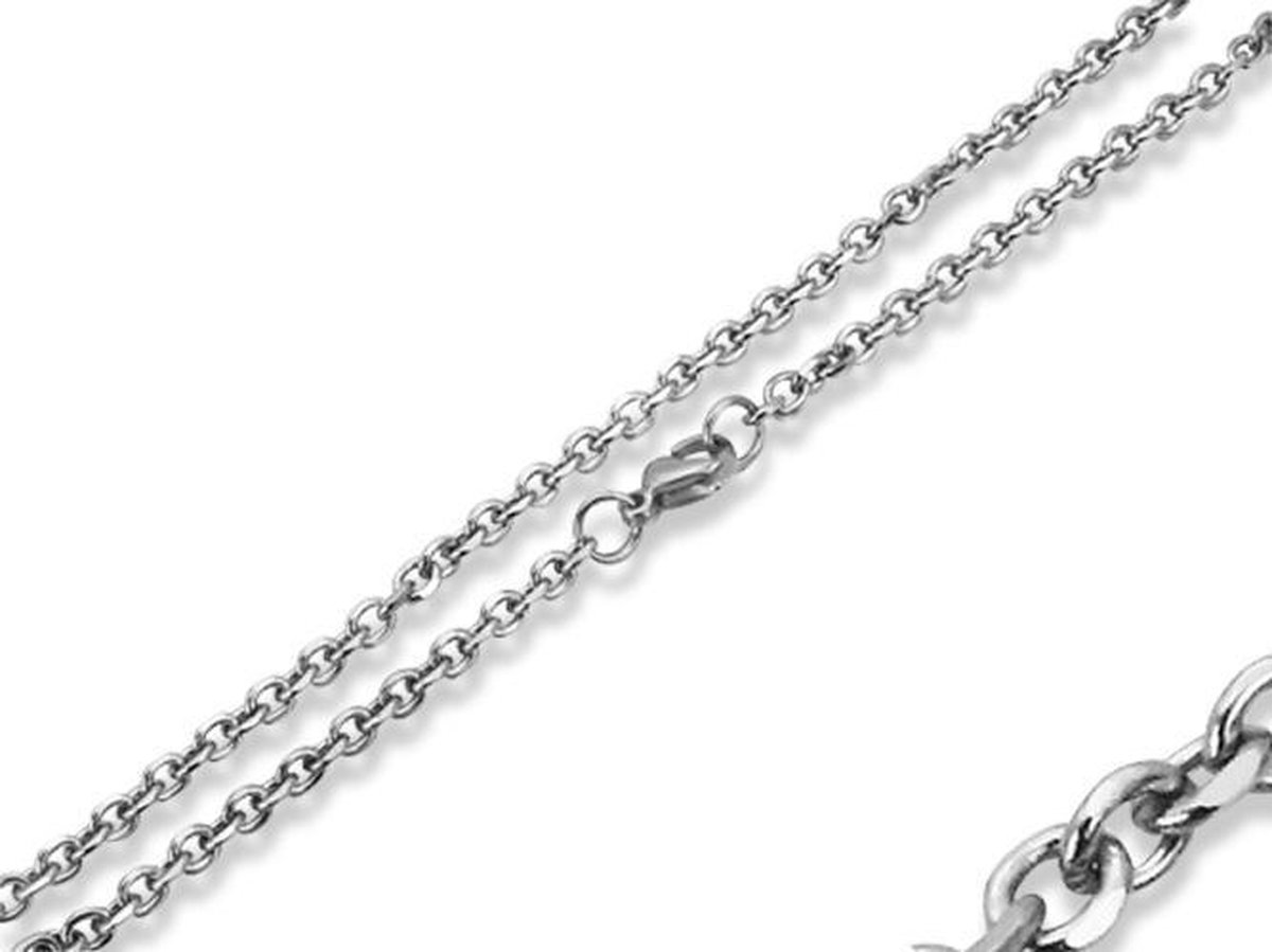 Amanto Ketting Baruch - 316L Staal - Anker - 3mm - 50cm