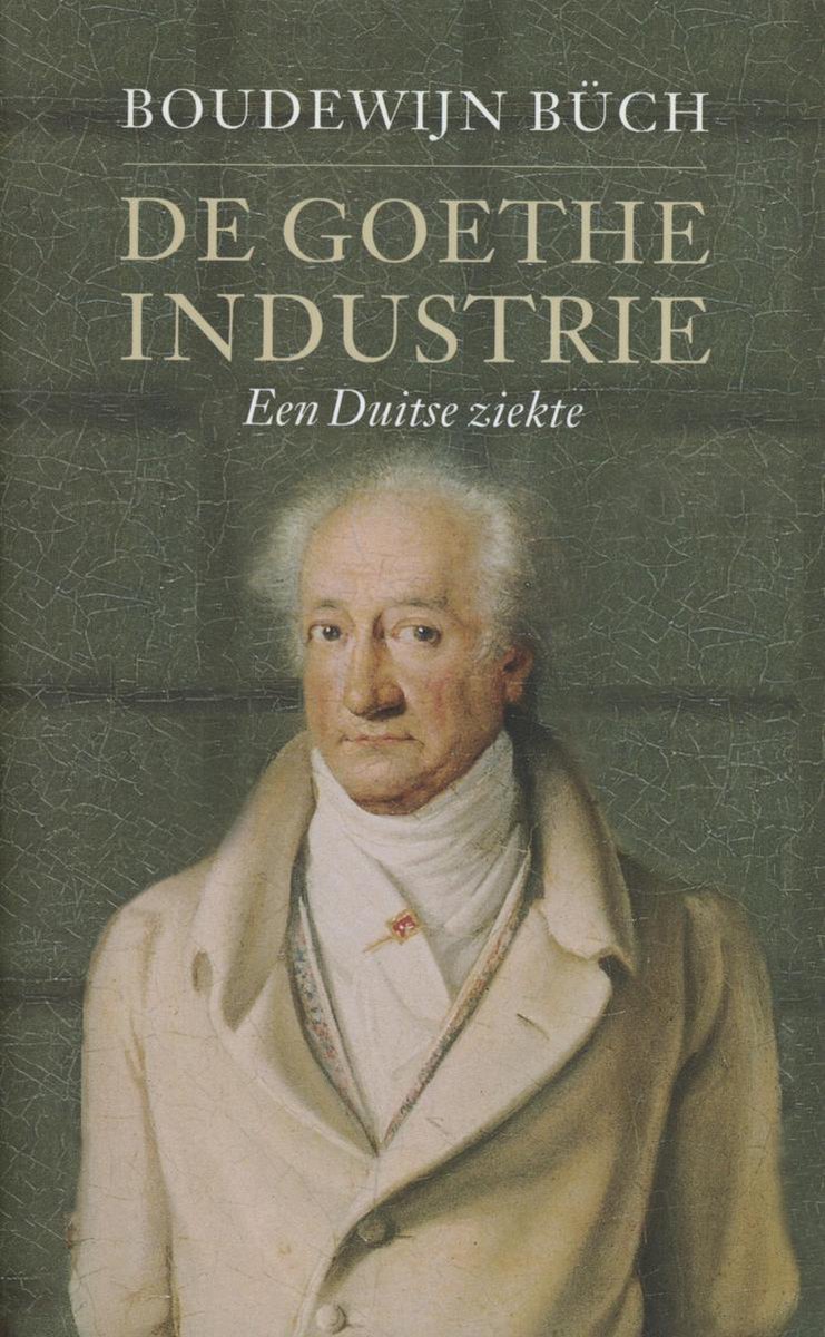De Goethe-industrie - Boudewijn Buch