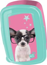 Studio Pets Chihuahua - Lunchbox - 18,5 x 13 cm - Multi