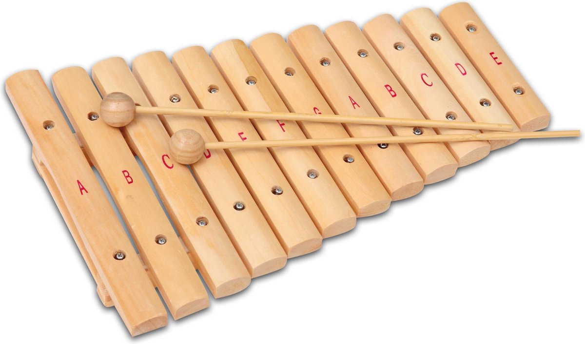 Bontempi Spa Xylofoon - Speelgoedinstrument - Hout