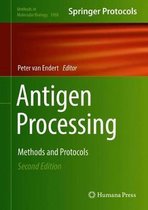 Antigen Processing