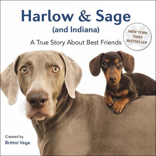 Harlow & Sage (and Indiana) - cover