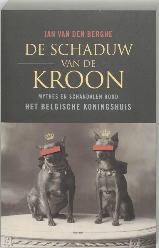 De Schaduw Van De Kroon
