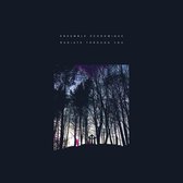 Ensemble Economique - Radiate Through You (CD)