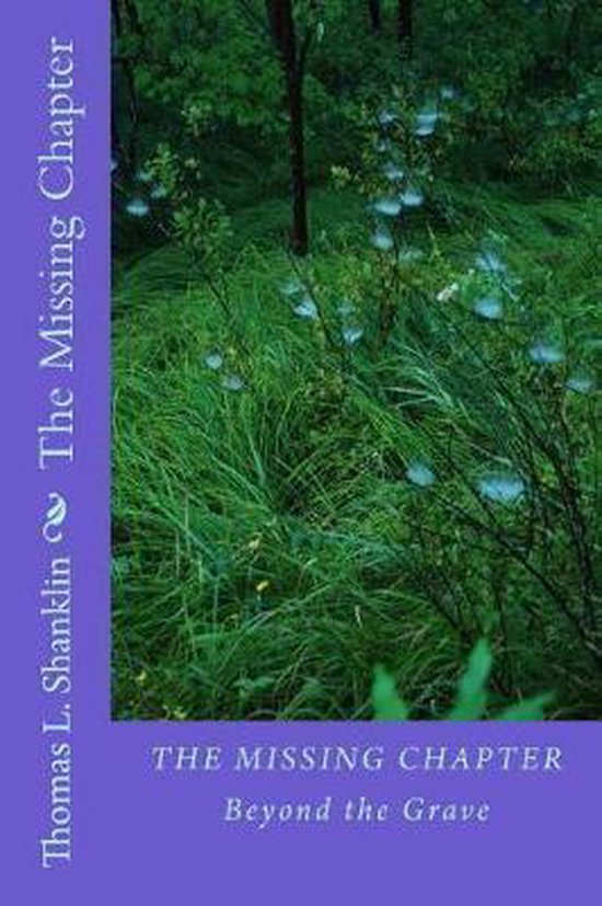 The Missing Chapter - cover