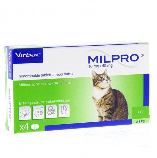 Milpro Grote Kat 48 smakelijke tabletten