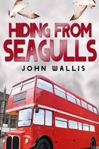 Hiding from Seagulls