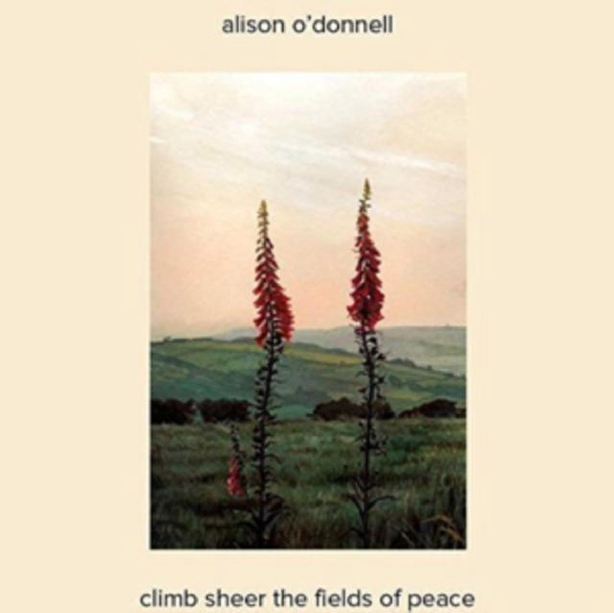 Alison O'Donnell - Climb Sheer The Fields Of Peace (LP)